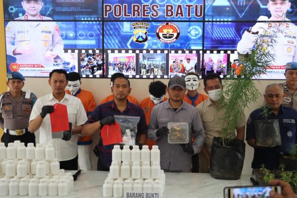 Polres Batu Berhasil Amankan Tersangka Penanam Pohon Ganja