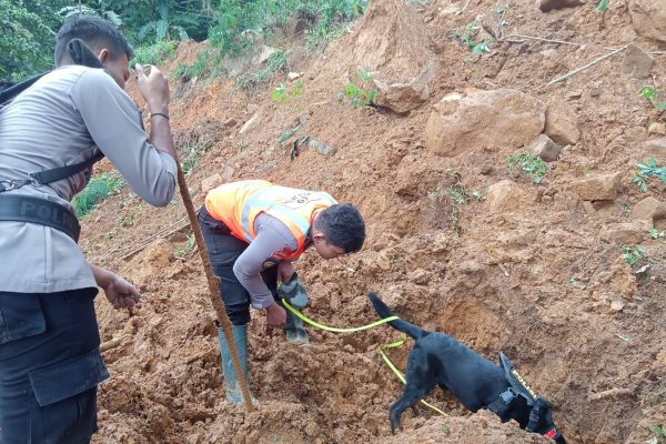 Brimob Bergerak Bantu Evakuasi Korban Banjir dan Longsor di Jateng