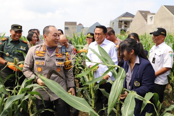 Polresta Malang Kota Ajak Mahasiswa Panen Raya, Diharapkan Dapat Meningkatkan Produktivitas Pertanian